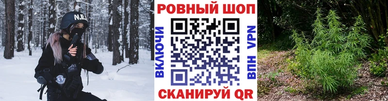 Наркотические вещества Черепаново Гашиш  Амфетамин  Меф  A PVP 