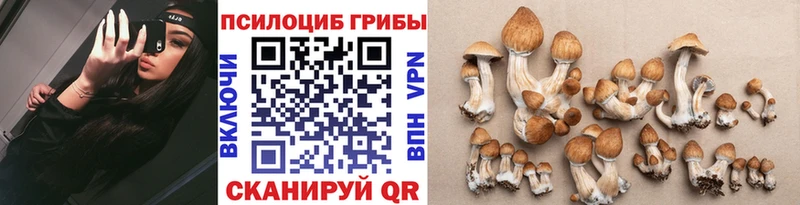 ссылка на мегу ТОР  цена наркотик  Черепаново  Псилоцибиновые грибы мицелий 